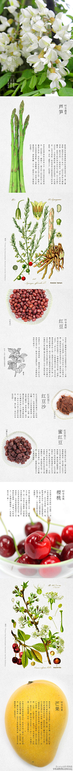 缤纷冬季采集到文字排版
