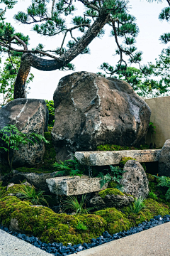 xiangyunduan采集到庭院