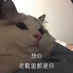 #原图精选# 
今日份热门表情包原图精选~
烦 ​​​​