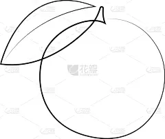 水果,一个物体,连续性,橙子,线条,农业,素食,清新,食品,维生素