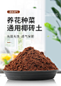 德沃多椰砖营养土通用型大块压缩粗壳脱盐进口椰糠乌龟冬眠养花-天猫超市-天猫Tmall.com-上天猫，就购了-理想生活上天猫