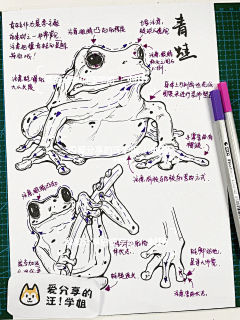 可爱的sunny呀采集到装饰画