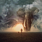 Artist Imagines a World Full Of Gigantic Animals (15 Surreal Photos)