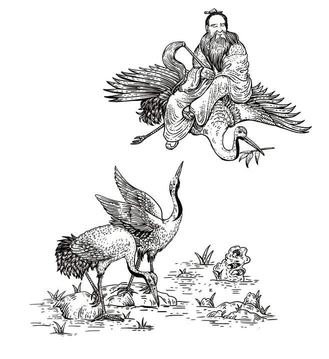 寻茶包装插画