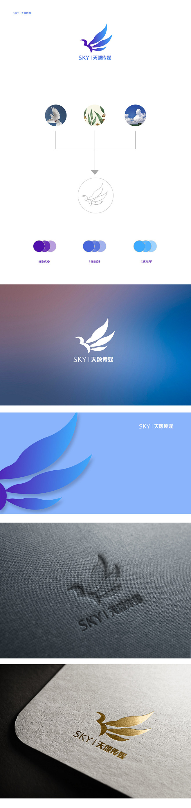 天颂传媒logo