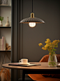 scottmary_the_pendant_light_sits_with_a_book_on_it_in_the_styl_7cfcb24f-a626-47fc-a035-2ba5896313cd.png (944×1264)