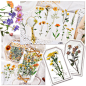 Amazon.com: Vintage Natural Stickers 160 Pieces Floral Stickers Transparent Waterproof PET Plants Decorative Stickers for Scrapbook Laptop Notebook Letters Crafts Card Window Wall Album Water Bottles Phone Cases