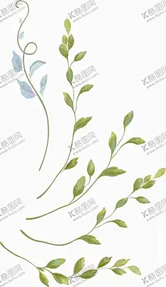 枝芽植物叶子绿植矢量 【酷图网】水彩,热带植物,花卉大全,绿植,矢量素材,热带雨林,热带雨林叶子,手绘叶子,叶子,北欧叶子,手绘