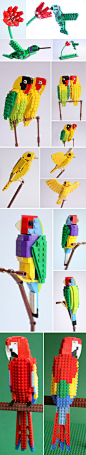 Tropical Lego Birds 