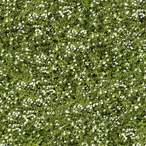 Textures.com - Grass...