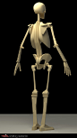 Generalization of bone , Tai ji : The generalization of the human body skeleton