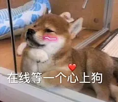 可爱表情包来咯，请查收抱图

主动罚站
告辞
我来了
哈哈哈
碗上好...展开全文c