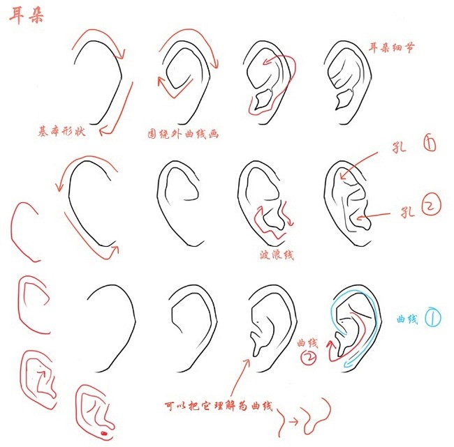 文章-耳朵和鼻子的画法 | 半次元-AC...