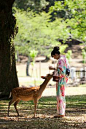 Also wish I could be her, dolux and doe, just chillin in the park. Donning a beautiful kimono, under a 100 year old tree.  Nara Park, Japan