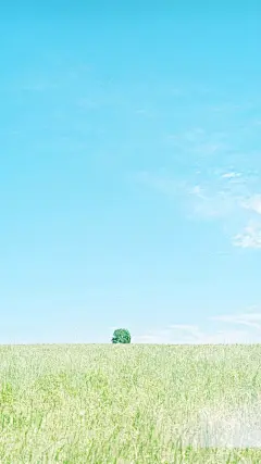 ★微博壁纸集-风景静物系列手机壁纸★ 
【新浪微博:高清无水印iphone萌壁纸】