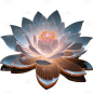 荷花免抠元素