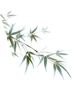 阿珏不二采集到古典元素