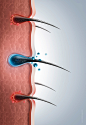洗护洗发水海报脱发护发头发生长示意注释生理图_PSD分层：