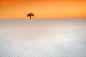 Photograph Winter tree by Lukasz Jaskowiak on 500px