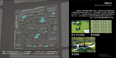 苯基乙胺-采集到绿化