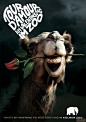 情人节，动物也疯狂--科隆动物园情人节平面广告创意欣赏