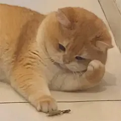 60张坡坡表情包原图攻击。#图文伙伴计划2024 #谁能 - 抖音