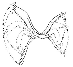 VitN采集到LS-Action Frame