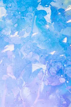 素锦底图／纯排／风景照
来源于花瓣，侵权删