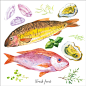 25P水彩手绘果蔬食物海鲜鱼矢量高清素材广告海报包装网页设计-淘宝网