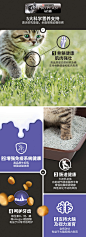 冠能奶糕猫粮幼猫专用幼猫粮1到4月猫粮离乳幼猫全价幼猫粮1.2kg-tmall.com天猫