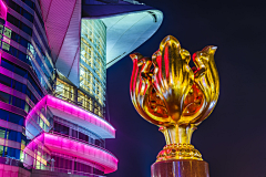 橘枳子采集到香港