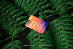 31款户外自然植物服装名片纸杯产品包装单页海报VI应用ps样机素材下载_颜格视觉