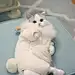 舒依云渊