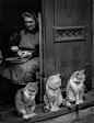 A Family Picture 1950 

Photo: Toni Schneiders