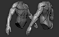 Upper limbs anatomy, Serge Minhulin : The model that I did for my anatomy master-class at XYZ school:
https://www.artstation.com/xyzschool
The master-class is all about upper limb anatomy for artists. It covers the basic forms, proportions, muscles. You c