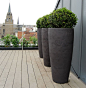 Box planters on roof terrace: 