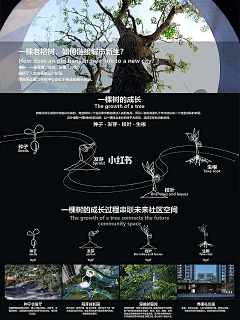 一个哒不刘w采集到视觉版式