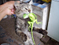 我凭自己本事打的猎物，你凭什么管我！

