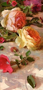 Roses by Daniel J. Keys.