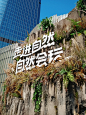 微博搜索