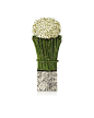 Die exklusiven Blumenkollektionen | Armani/Fiori : Entdecken Sie die Welt von Armani/Fiori. Das Wesentliche und das Raffinierte verschmelzen und ergeben eine anspruchsvolle Eleganz. Schauen Sie sich die exklusiven Blumenkollektionen an.