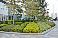 绿蔷美荷采集到展示区quanzhou