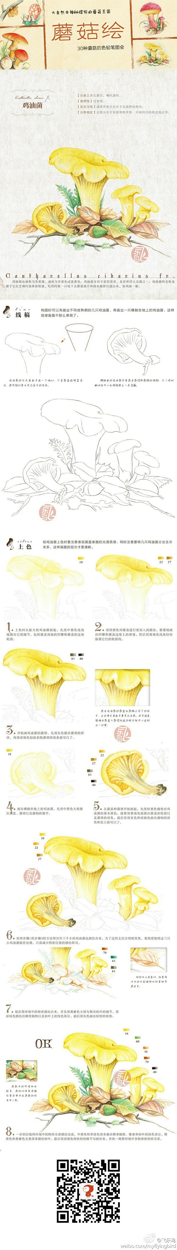 彩铅 步骤 教程蘑菇