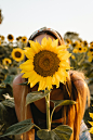 pexels-guillaume-hankenne-13692623