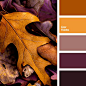 beige-brown, brown color, fall color palette, fall colors, fall palette, leaves color, orange color, purple colors, reddish brown, shades of brown.: 