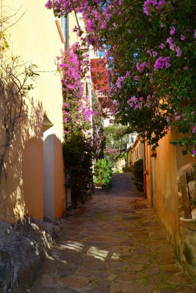 Bormes-les-Mimosas, ...