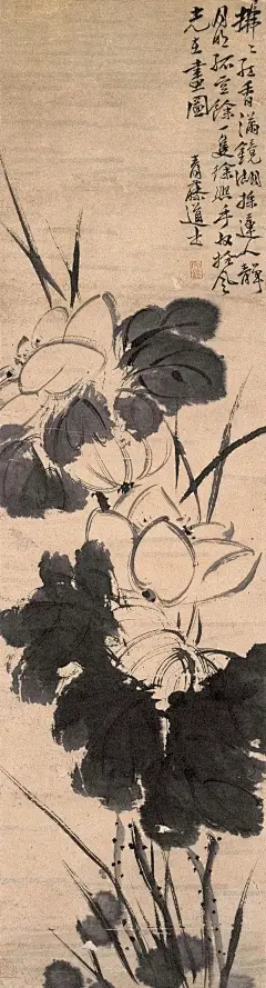 把徐渭和梁楷、陈淳、八大山人搁一块儿看，就像同时尝了四种不同的酒。梁楷的《泼墨仙人图》像冰镇梅子酒，冷冽中带着俏皮；陈淳的花卉小品似温过的黄酒，醇厚又不失清雅；八大山人的鸟鱼，好比陈年女儿红，入口绵柔，回味却泛着苦味。而徐渭的画，妥妥是烧刀子烈酒，辛辣呛喉，一口下去，心里的血都跟着热起来。 (1)