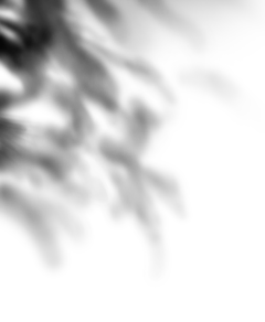 光影png素材