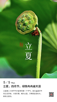FANIEW采集到24 solar terms—二十四节气