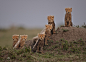 Photograph The Mara Six by Andy Howe on 500px